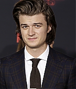 439.jpg